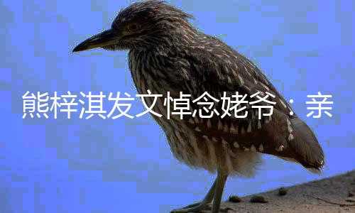 念姥熊梓走好淇发亲爱爷爷 一路文悼的姥