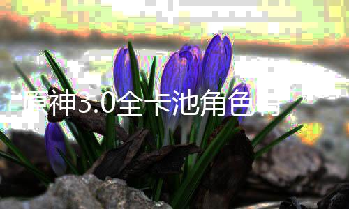 爆料些 信息0全0全原神有哪卡池卡池角色角色