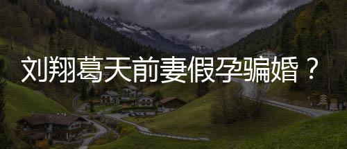 不过骗婚回澄清造谣者前妻应也抵刘翔葛天假孕