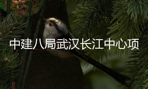 八局长江项目中建中心千人武汉举行大会誓师